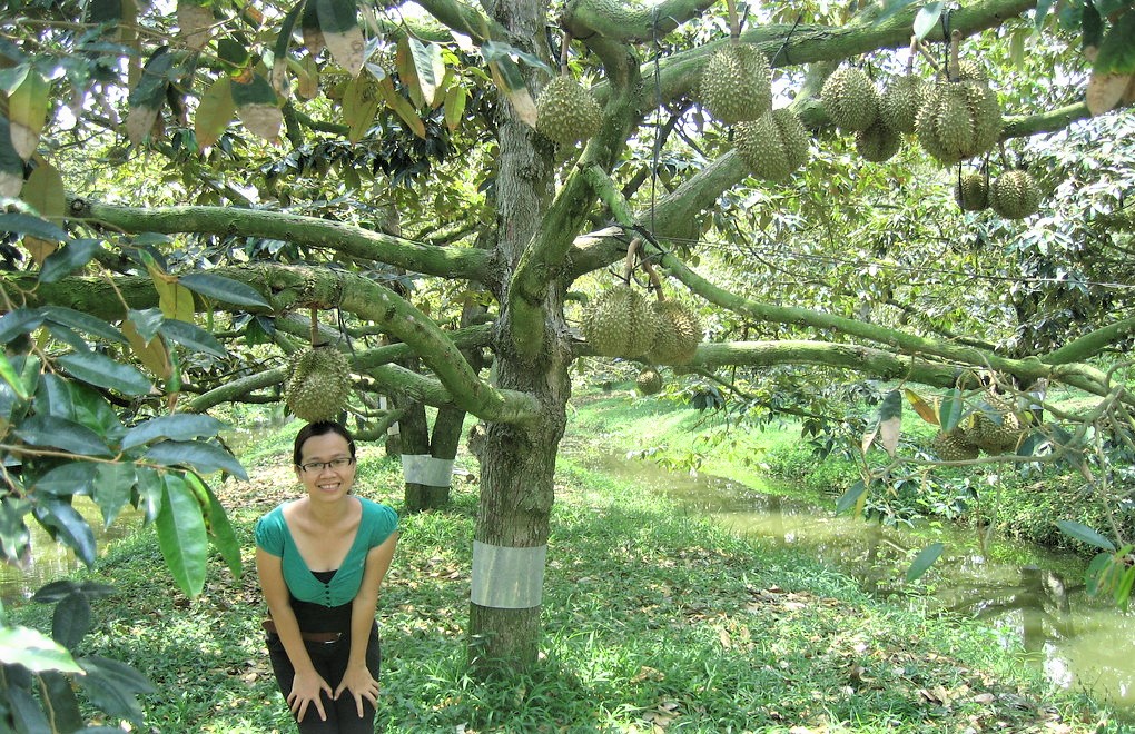 BẾN TRE - CHỢ LÁCH - CÁI MƠN