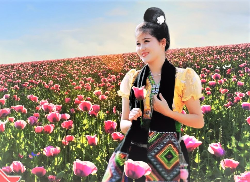 HÀ NỘI - BÁI ĐÍNH - HẠ LONG - LÀO CAI - SAPA