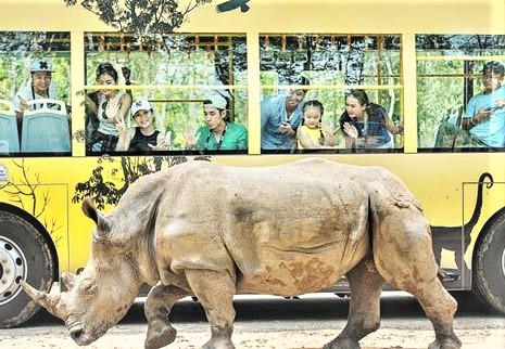 HÀ TIÊN - PHÚ QUỐC - VINPEAR - SAFARI