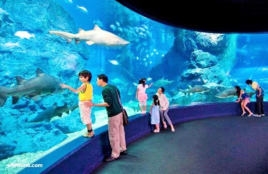 NHA TRANG - DIAMOND BAY - ĐẢO HOA LAN  - VINPEAR