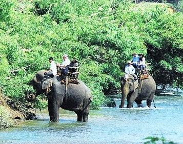 BUÔN MÊ THUỘT - PLEIKU - KON TUM - MĂNG ĐEN